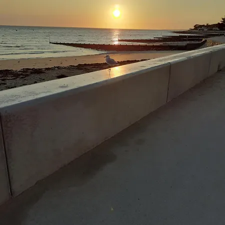 100 M De La 100 Du Bourg Des Moutiers En Retz *